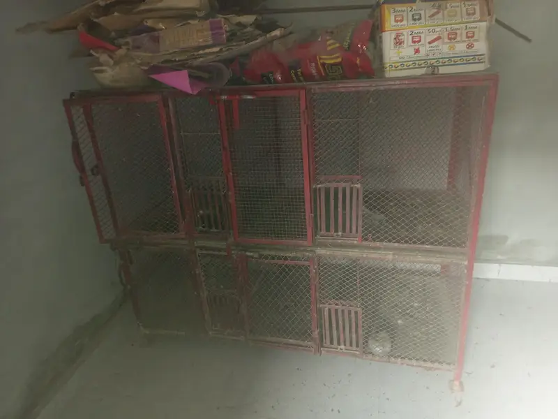 **bird cage / iron cage / hens cage / pigeon / cat / parrot pinjra — photo 3