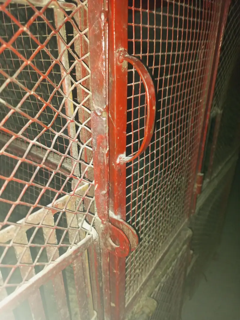 **bird cage / iron cage / hens cage / pigeon / cat / parrot pinjra — photo 4