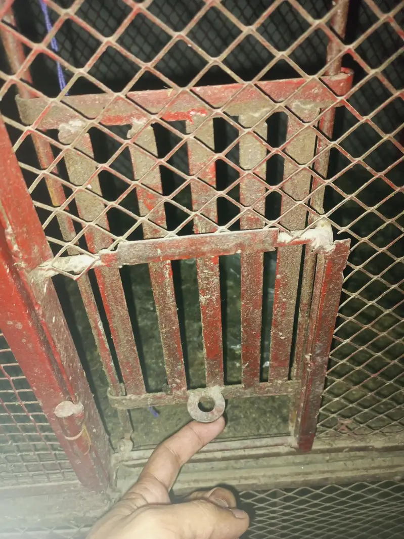 **bird cage / iron cage / hens cage / pigeon / cat / parrot pinjra — photo 6