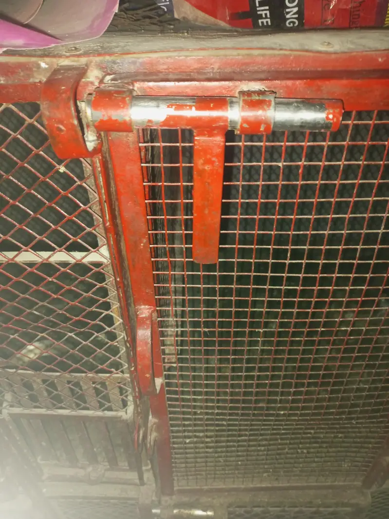 **bird cage / iron cage / hens cage / pigeon / cat / parrot pinjra — photo 8