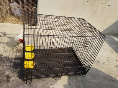 Black Cage 36" X 24" X 30"