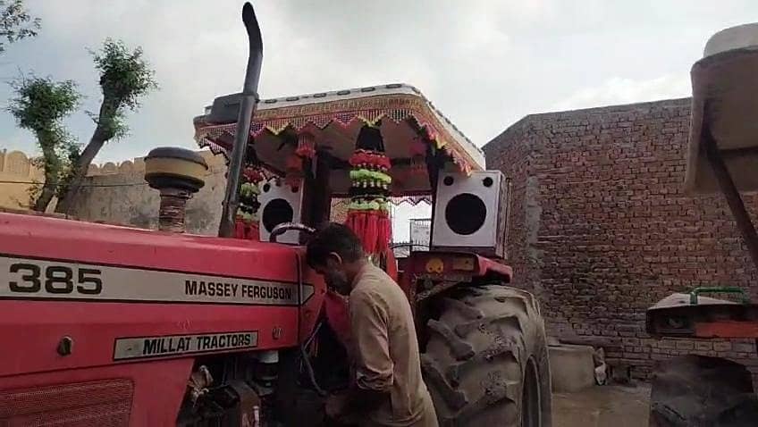 massay385 0
