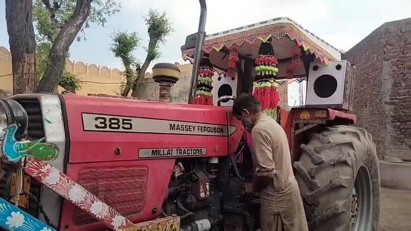 massay385 1
