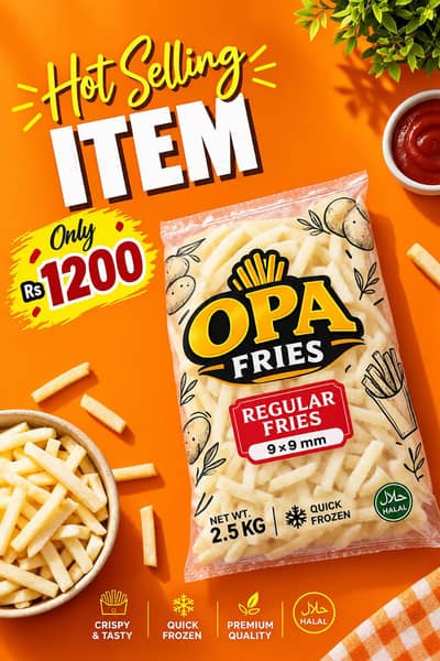 OPA SIMPLE FRIES 2.5KG
