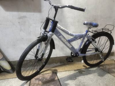 Phoenix 26 Inch Cycle - Like new