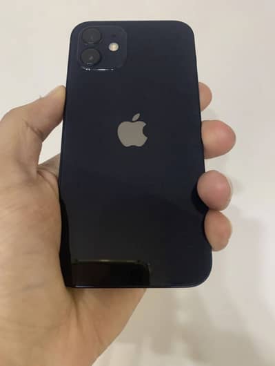 iPhone 12 PTA approved