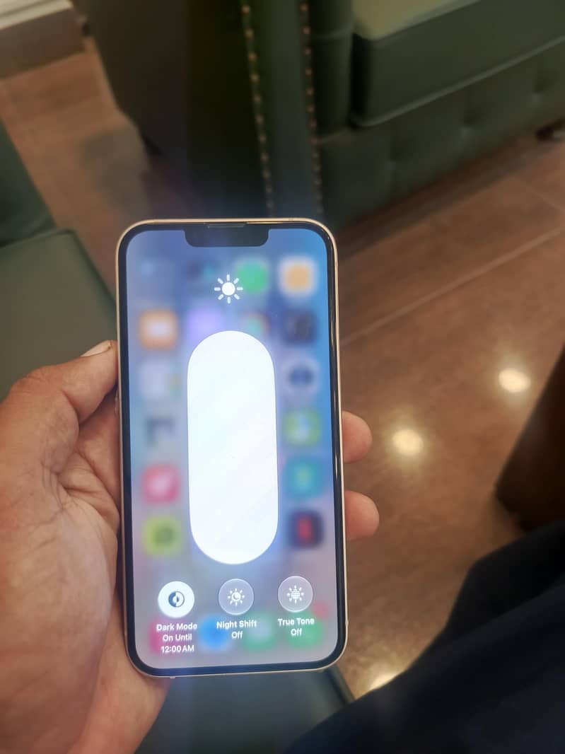 Apple iPhone 13 13