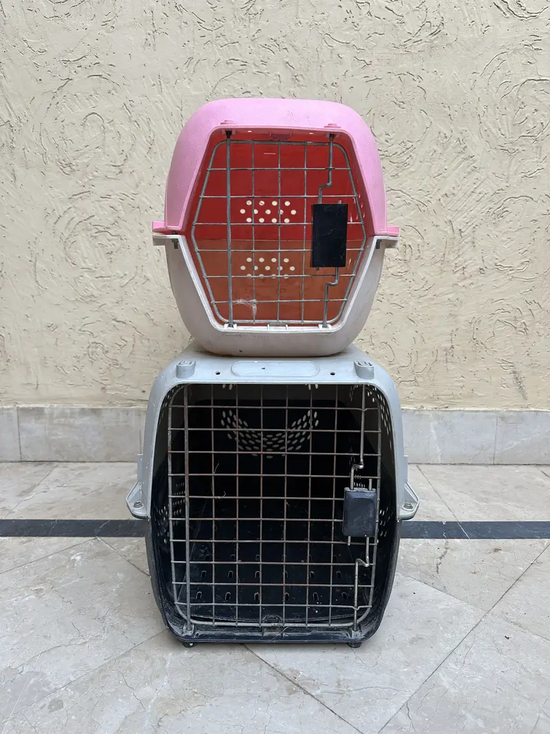 2 cage for cats — photo 2