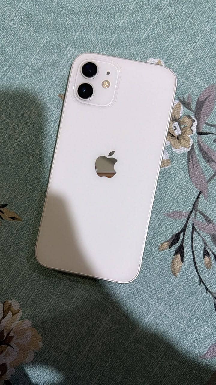 Apple iPhone 12 1