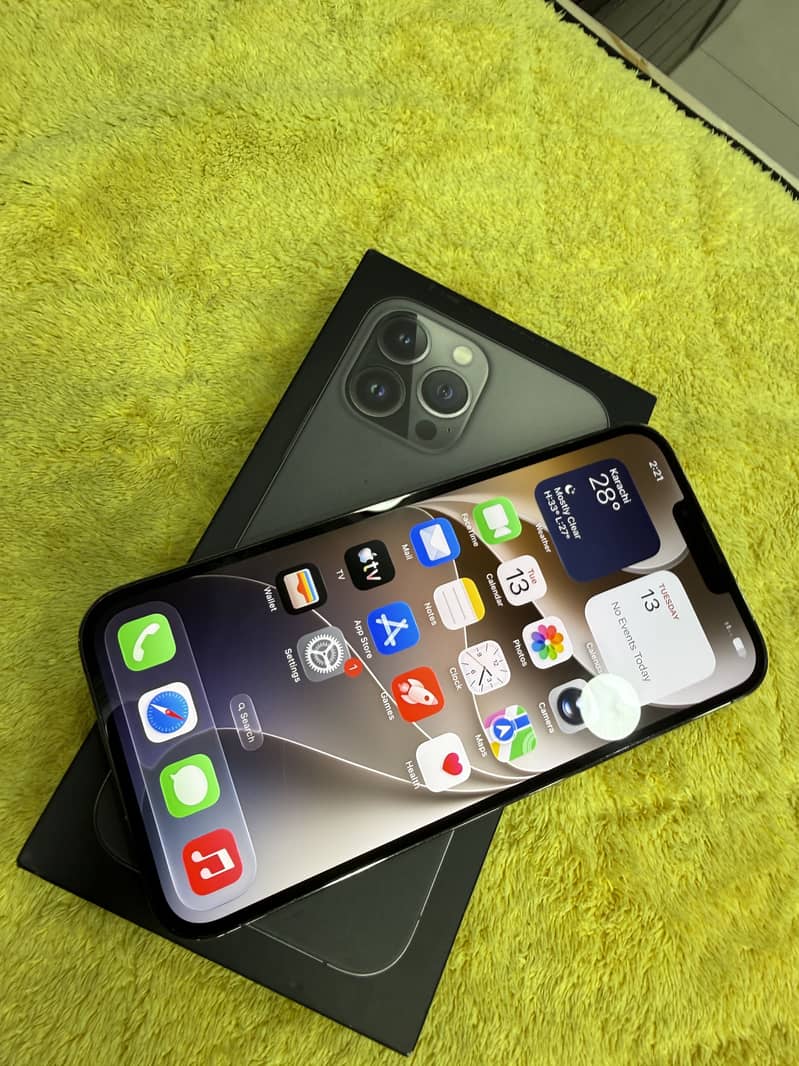 Apple iPhone 13 Pro Max 1