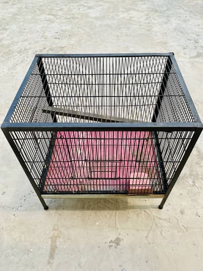 Iron Cage