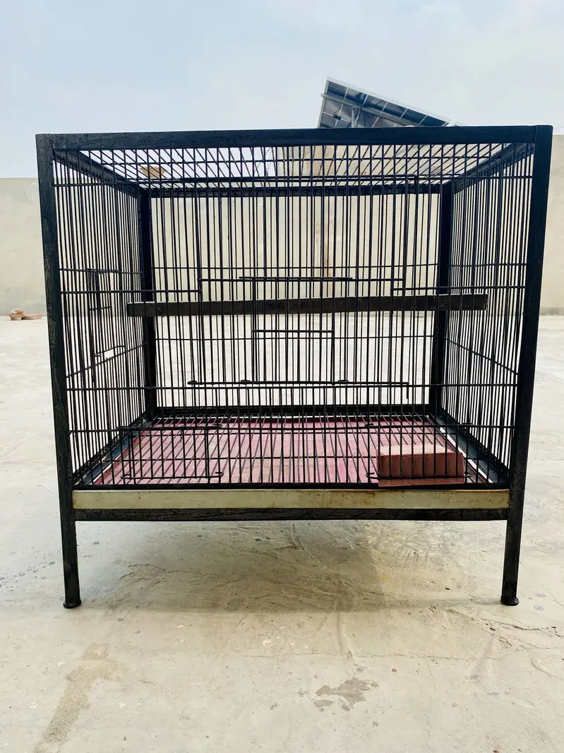 Iron Cage — photo 2
