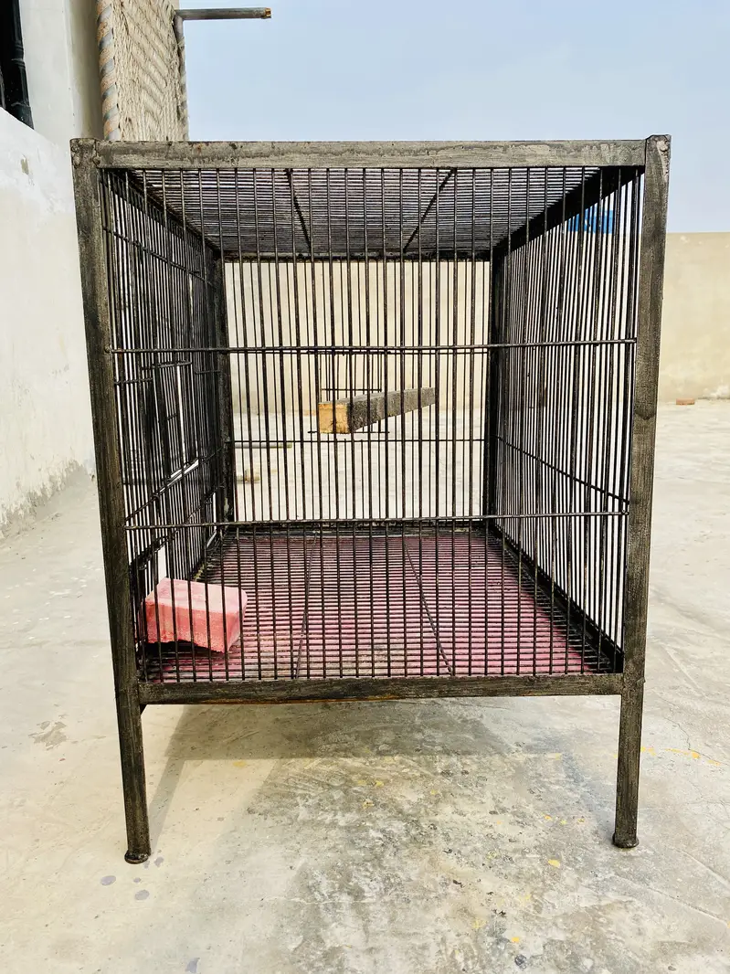 Iron Cage — photo 3