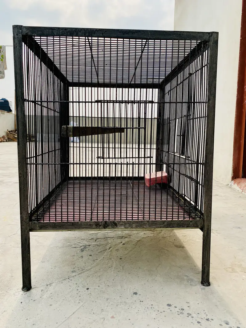 Iron Cage — photo 4