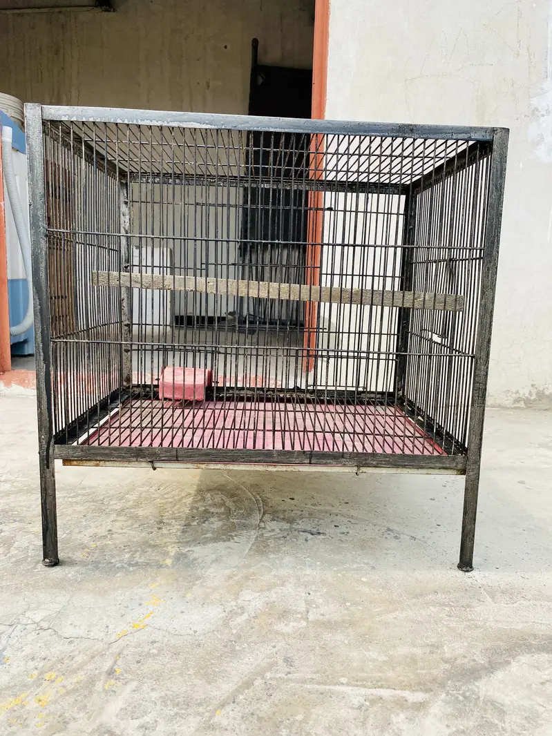 Iron Cage — photo 5