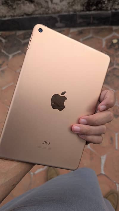 ipad mini 5