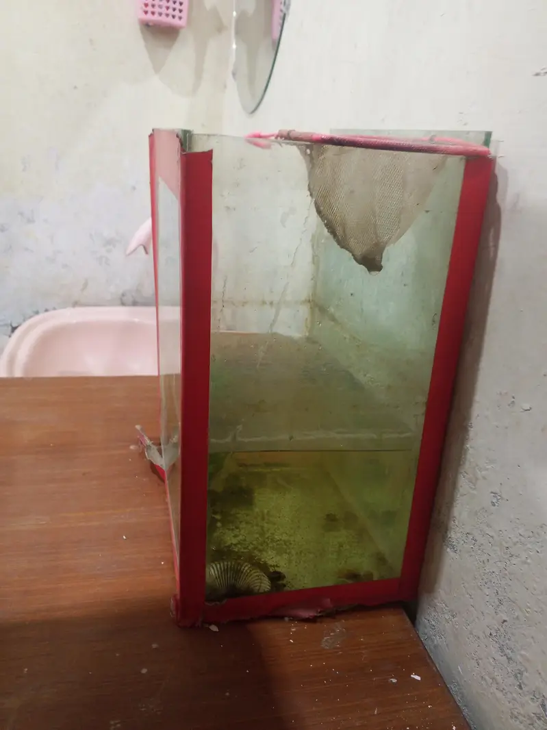 condition all ok leak kahin se bhi nahi hai — photo 4