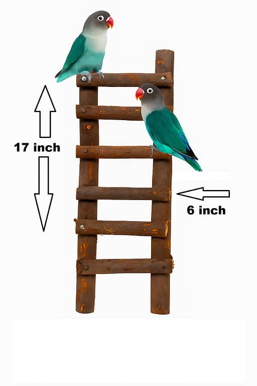 UK bird toys natural wooden bird toy Wood Bird Perch | Natural Parrot Perch Bird Stand | Climbing Standing Branches Toy Chewable Bird Cage Accessories for Small Budgies Cockatiels Lovebirds Pengzi