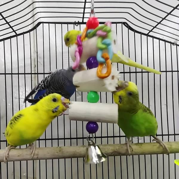UK bird toys Parrot Chew Toy with Beads, Chains, Rings, Balls & Bell - Interactive Bird Cage Decoration - Safe for Small to Large Parrots - - Colorful Beads and Bell - Cage Climbing, Mental Stimulation - Easy to Clean - Bird Perch Compatibility