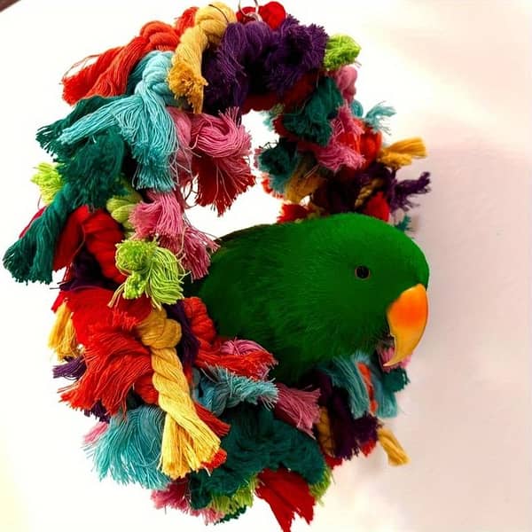 UK bird toys Colorful Bird Swing Toy with Chewing Hanging Toys - Durable Metal Perch for Lovebirds, Finches, Parakeets, Budgerigars, Conures & Small Birds - Interactive Play & Mental Stimulation, Bird Toy, Playful Design, Sturdy Construction