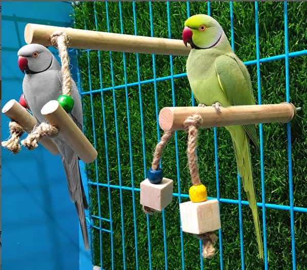 UK bird toys Pack of 2 Wooden perches with chew Toy Included, Made of untreated Natural Wood for Budgies,Cockatiel,Parrot,Love Birds,Finch grey cocktails budgies