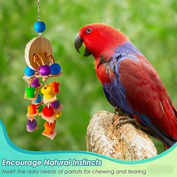 UK bird toys New Parrot Toy, Parrot Swing Chewing Hanging Toy with Safe Bell, Bird Cage Colorful Climbing Standing Rope and Natural Wood Ladder Bungee Toy Metal Chain Bird Toys Big Toy Pure Natural Colorful Wood Parrot Toys, parrot Soft Swing Toy & Rainbo
