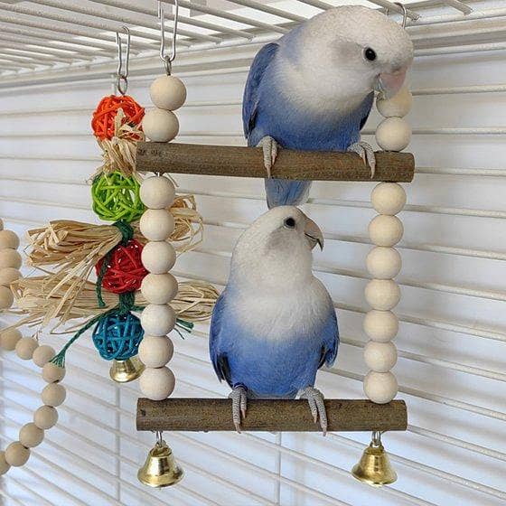 UK bird toys Parrot Toy Natural Materials Bite Resistant Wooden Pet Bird Double Pole Swing Parrot Chew parrot and Chicken Swing for hens, Toys for birds and Hens Natural Wooden Stand Toy Bird Swing Toy for Medium Large Bird, Parrot, Macaw Training