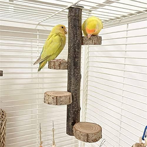 UK bird toys Portable Pet Parrot Training Stand Parrots Bird Training Stand Bird Cage Perch Playground with Rotating Platform Toy Bird Perches for Table Bird Perches for Parrots with Stand Large Bird Perch Stand