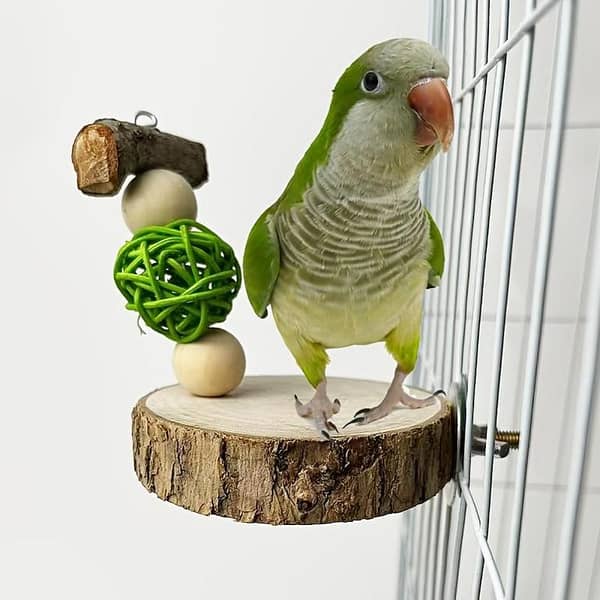 UK bird toys Natural Wood Bird Perch Toy & Stand - Parrot Chew and Relax, Solid Wood Play Station for Birds Parrot Bird Stand Platform Bird Cage Perch Stand Platform Round Wood Bird Platform Perch Stand Toy Hamster Standing Playground Parrot