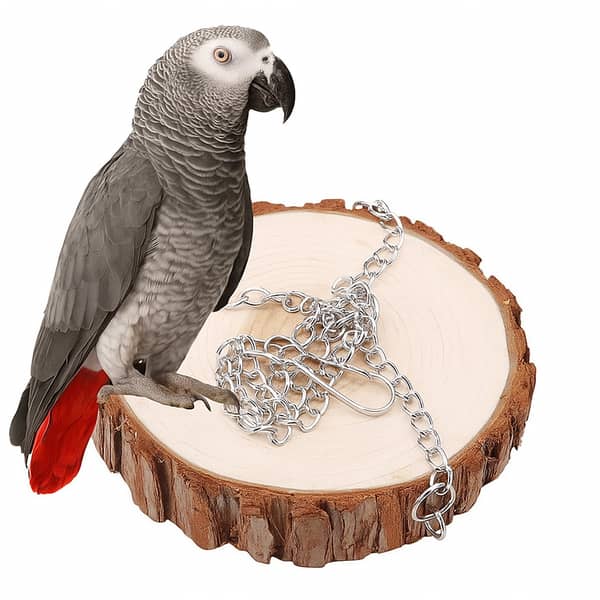 UK bird toys Heavy-Duty Swing Toys Hanging Platform - with Chains for Small Pets - Hamster, Parrot, Squirrel, parrot and Hamster Swing Wood Toy Natural Parrot Chewing Toys Cage Hammock for Parakeet macao congo grey parrot Finch Budgie Cockatiel Lovebird