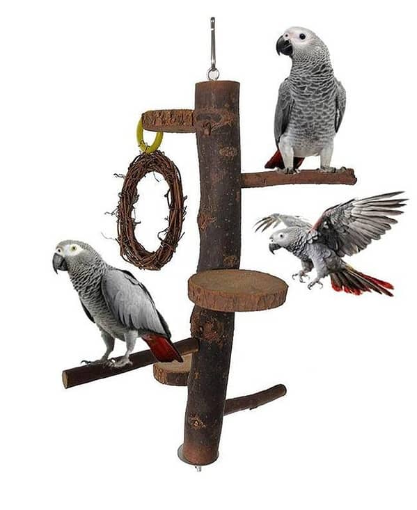 UK bird toys Wood Parrot Play Stand Height 12 inch / width 6 inch / 3 perches + 3 rounded plate form with free palm ring swing, Nature Wooden Parrot Bird Fork Stand, Natural Wooden Parrot Platform, Wooden Stick Platform Rope Ladder Bird Toys