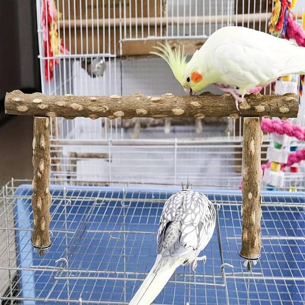 UK bird toys UK bird Toys Bird Resting Station Adjustable Stand Designed For Comfort And Entertainment Loved By Bird Enthusiasts Pet Shop Owners Bird Parrots Swing Toy Bird Parrot Toy Swing Hanging