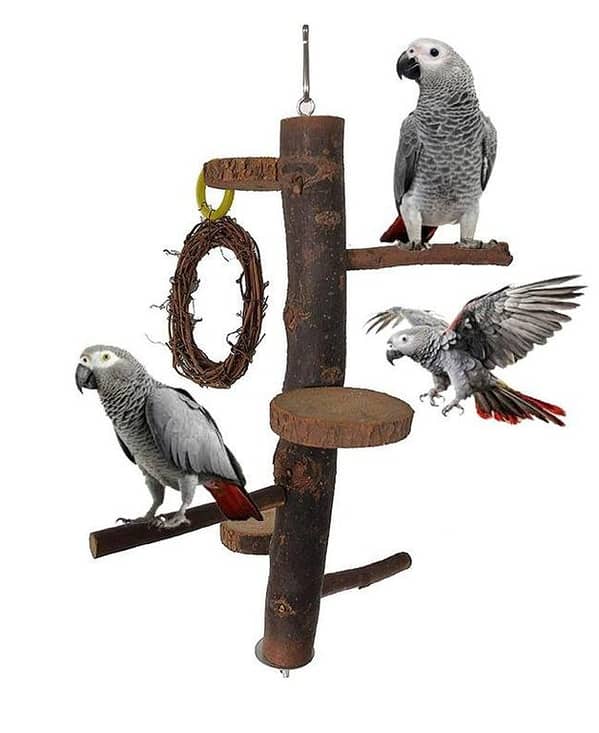 UK bird toys Wood Parrot Play Stand, Nature Wooden Parrot Bird Fork Stand, Natural Wooden Parrot Platform, Wooden Stick Platform Rope Ladder Bird Toys