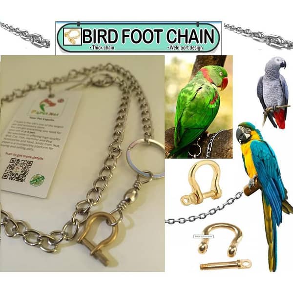UK Bird Toys U shape foot chain Parrot Leashes, Stainless Steel chain Anti-bite Flying Training Solid Brass U Lock Clasp--Brass Shackle Bird Harness for Parrots Macaw African Greys Parakeet Cockatoo Ring neck electus medium and large bird training
