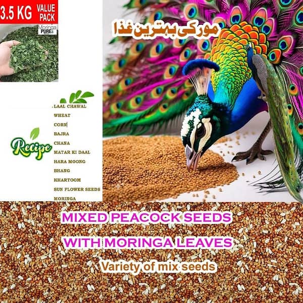 UK Bird Toys 3.5 kg Peacock Mix Grain Feed with Moringa Oleifera G Special Treat, Seed Mix Feed with Moringa Leaves, Blue & White Peacock Grains, Natural Balanced Seed Mix