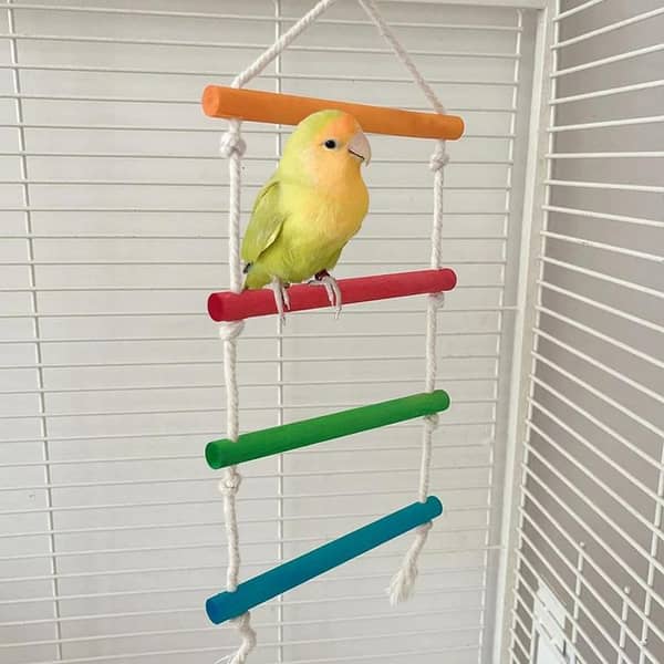 UK Bird Toys color full rope ladder natural wooden bird toys for raw grey macaw cockatail budgies fisher finch Interactive Enrichment Parrot Play Ladder Equipped with Wood Perches and Hanging Wood to Enhances Bird Cage Activities