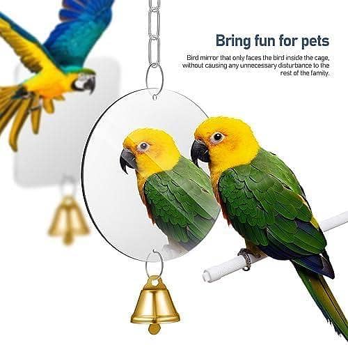 UK bird toys Bird Toys for Cage Small Bird Toys Round Swing Bird Swings for Small Birds Circle Mirrors Bird Cage Toys Round Mirrors Bird Cage Mirror Unbreakable stainless steel mirror Birdcage
