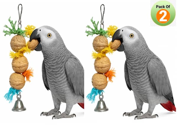 UK bird toys 2 pack Large Parrot Bird Chewing Toys - Natural Nuts Corn Parrot Tearing Toy - Wooden Bird Cage Toy for African Grey, Macaws, Cokatoos, Amazon Parrots and Other Large Birds