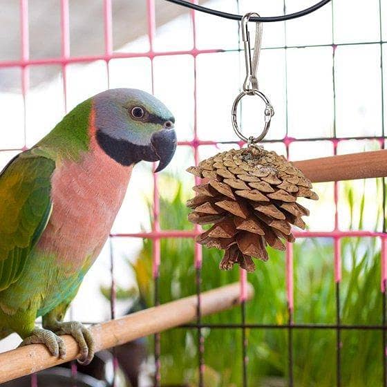 UK bird toys Parrot Chewing Toy Bird Toys for  Small Parakeets Suspendable Plaything for Pet Birds Parrot Toy Pinecone Soothing Supplies for Birds,Natural Wooden Parrot Toy for Chewing and Play