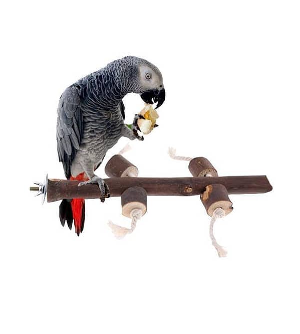 UK bird Toys Wood Pet Parrot Stand Toy Parakeet Conure Perches for Bird Cage ets parrots chew toy hang climb cotton rope Natural Wood Fork Perch Rod Stand Bird Cage Accessories for Pet Budgies Cockatiels Conure Lovebirds