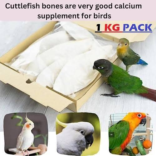 UK Bird Toys  1 KG Cuttlefish Bone SAMNDARI JHAAG ,Natural Cuttlefish Bone for Parrots,Parrots Chew Toys,Bird Cuttlebone Toys,Parrot Chew Calcium Toy,Chewing Cuttlefish Bone Pet Toy for Parrots Cage Birds