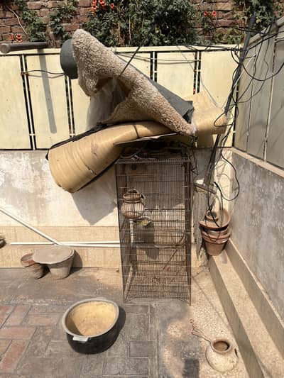Cage pinjara