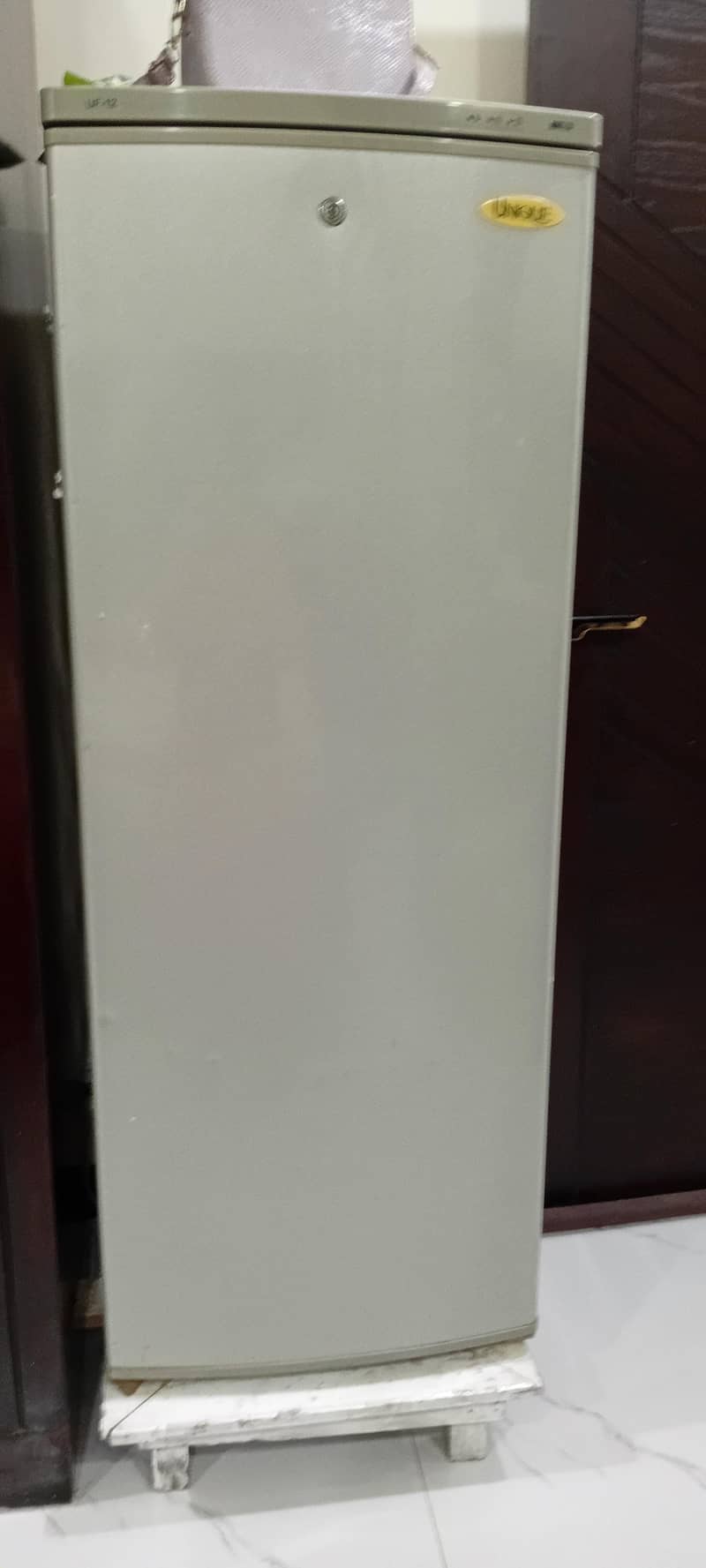 VERTICAL FREEZER UNIQUE 1