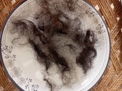 100% Natural Human Hair for sale - 14+Inch Long - Black Uncolored