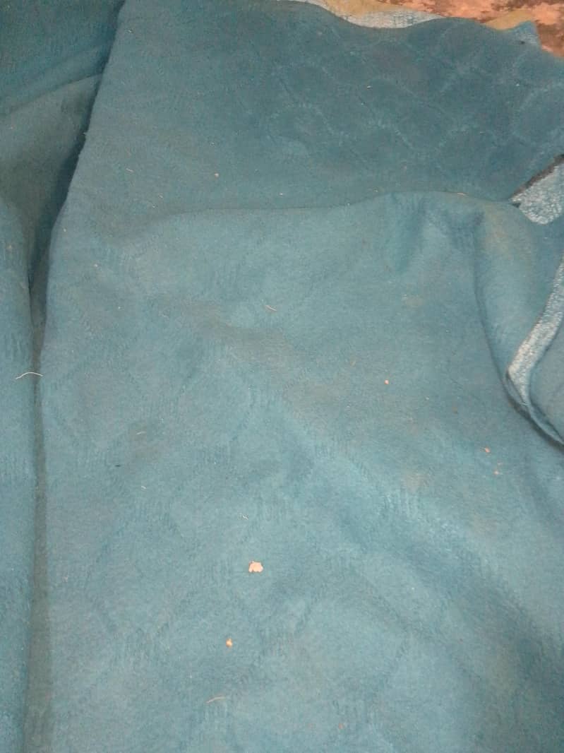 carpet 1