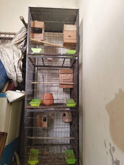 Large Parrot Cage for Sale – 6 Feet Long, 2 Feet Wide