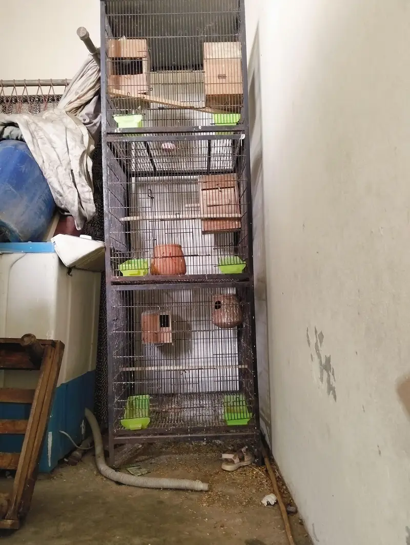 Large Parrot Cage for Sale – 6 Feet Long, 2 Feet Wide — photo 2