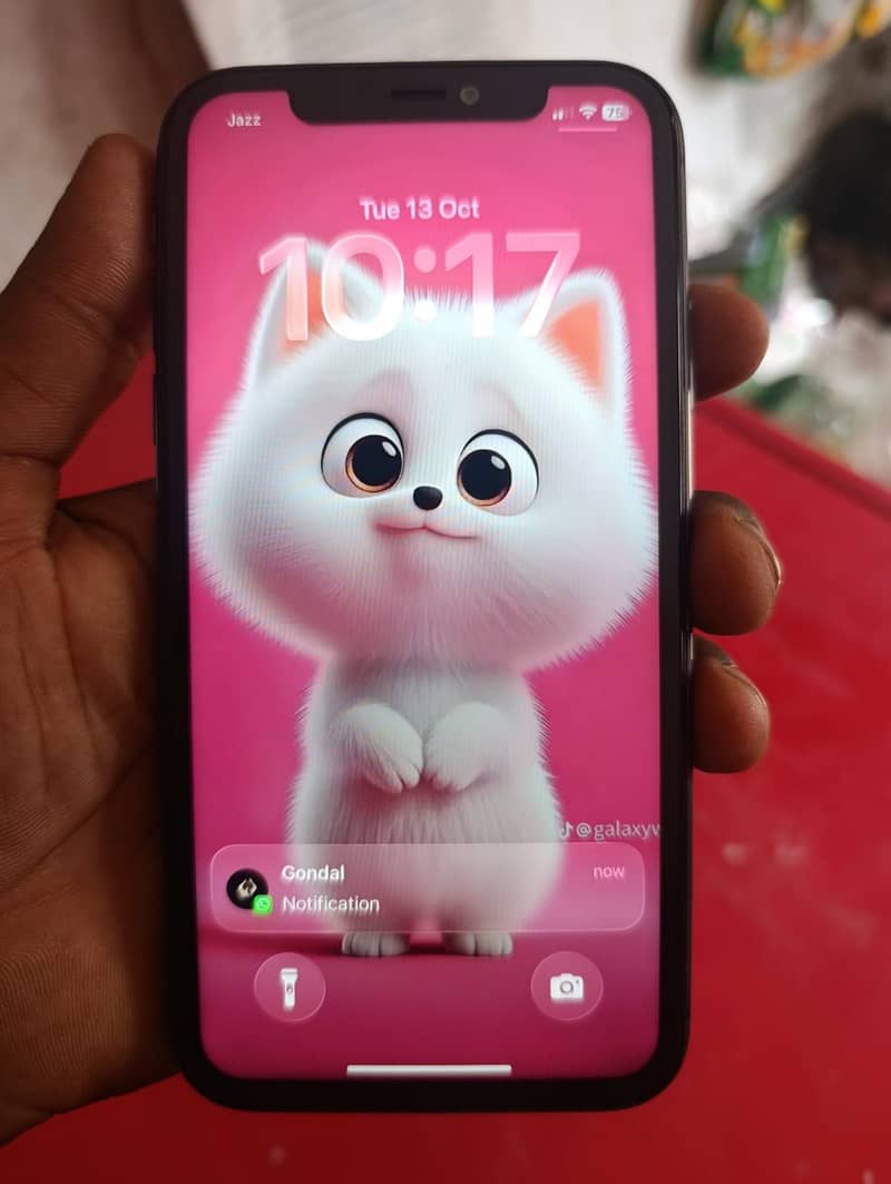 Apple iPhone 11 exchange possible 1