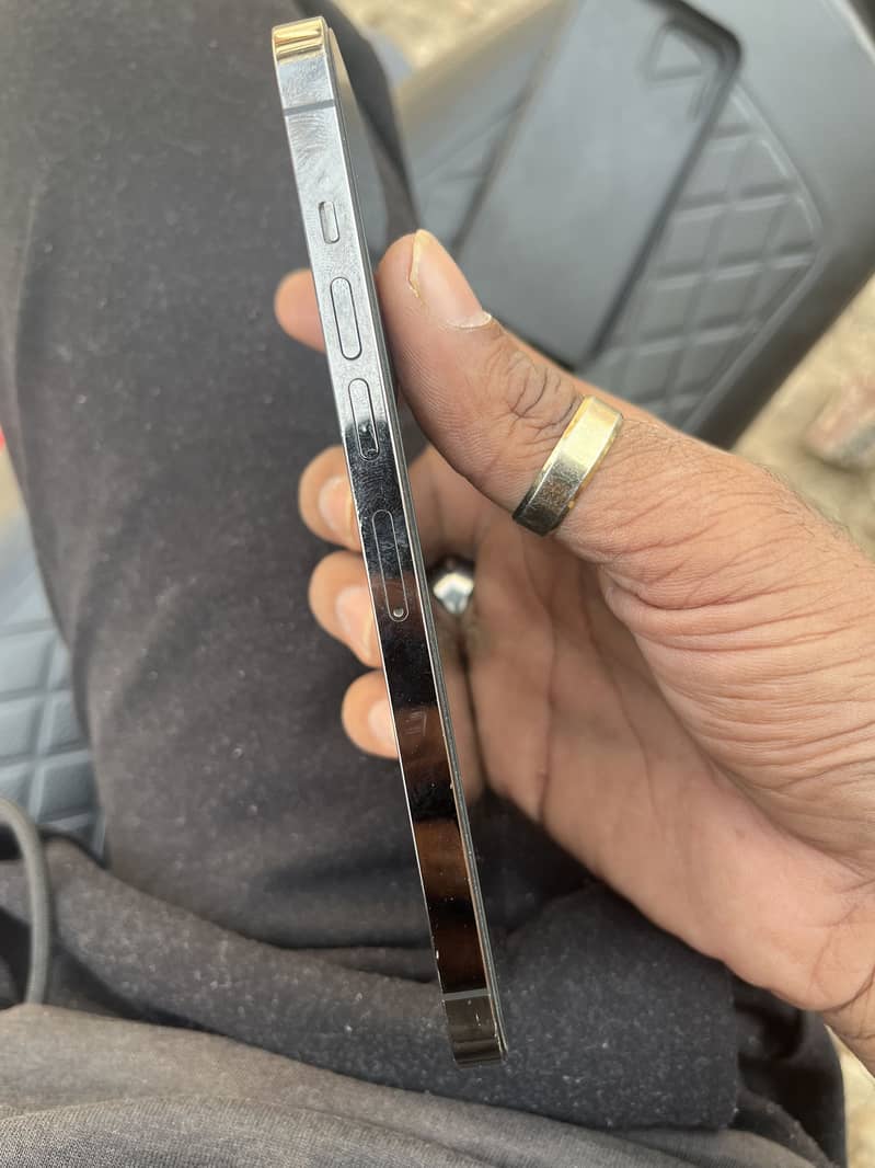 Apple iPhone 13 Pro Max 2