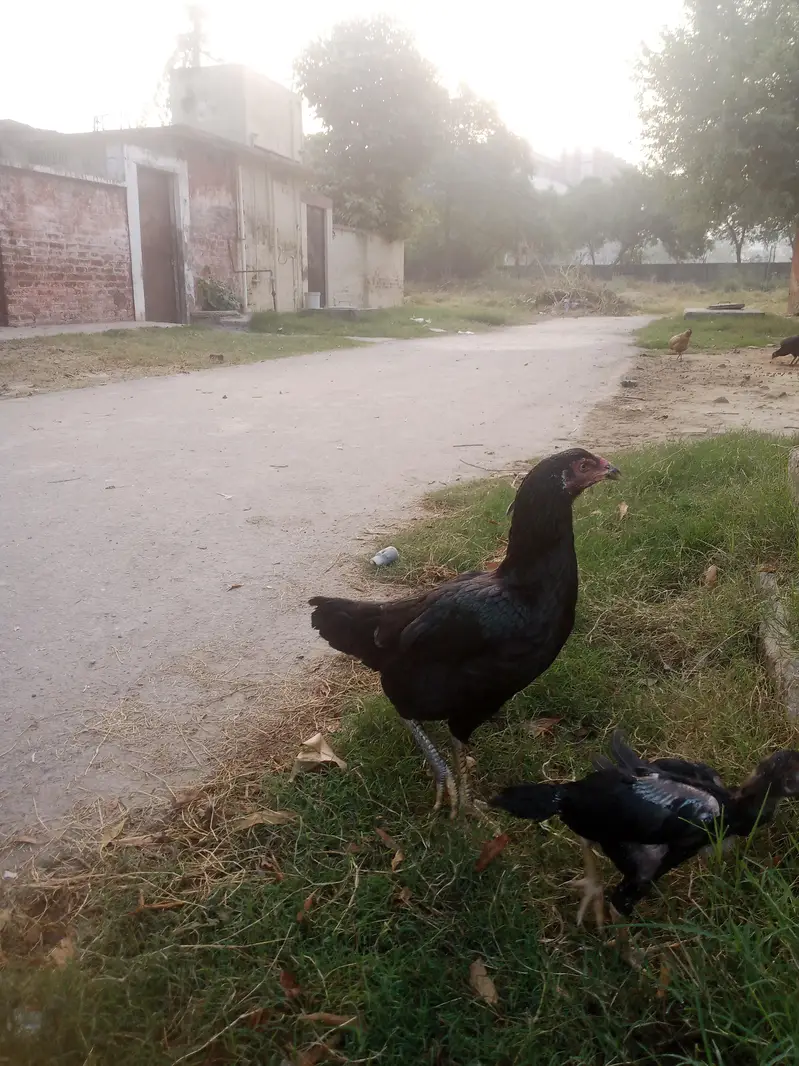 bhut achey — photo 5